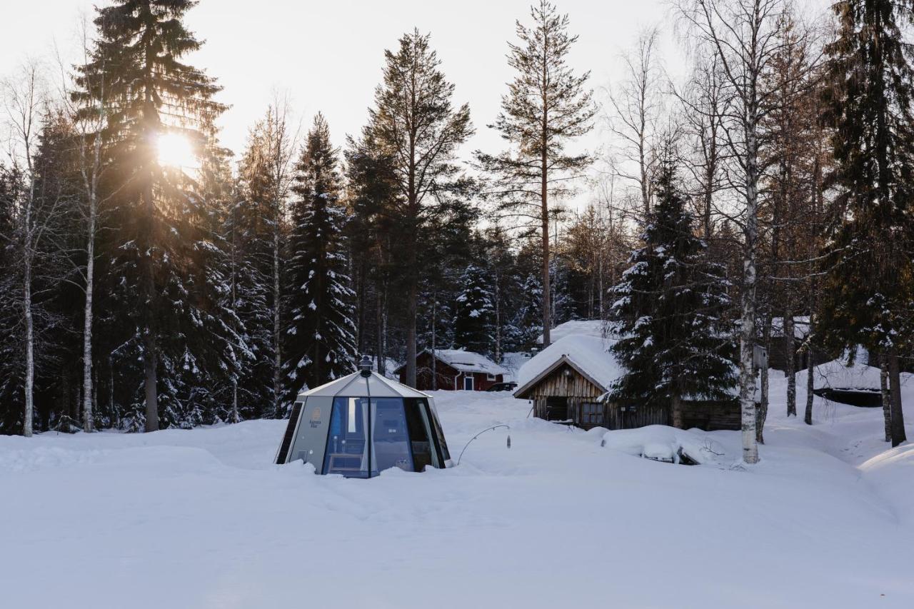 Ollero Eco Lodge Rovaniemi Exterior foto